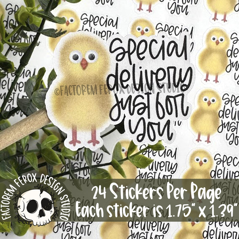 Special Delivery Chick Sticker ©