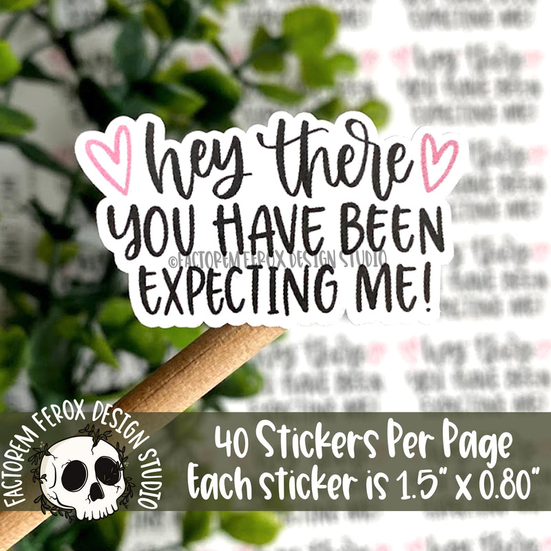 You Have Been Expecting Me Sticker ©