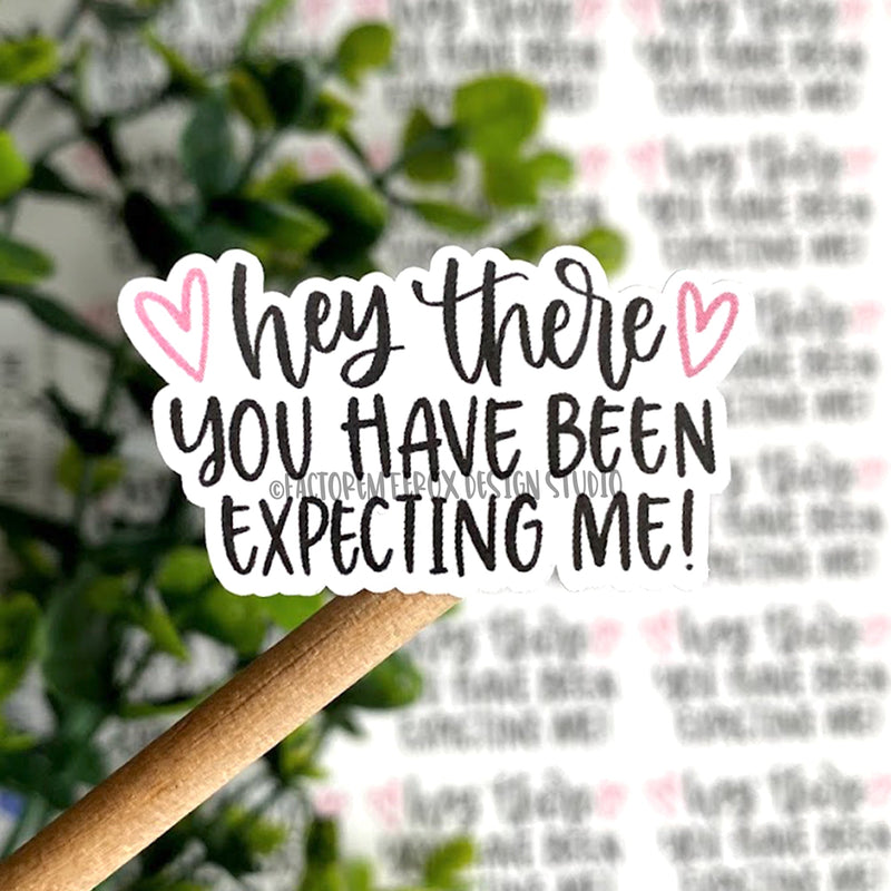 You Have Been Expecting Me Sticker ©